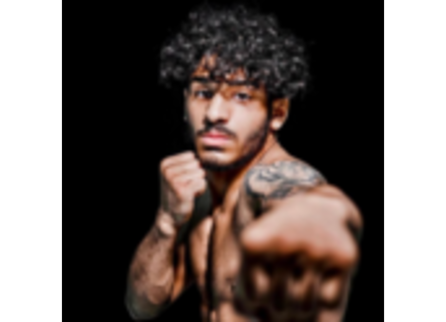 Fighter 1